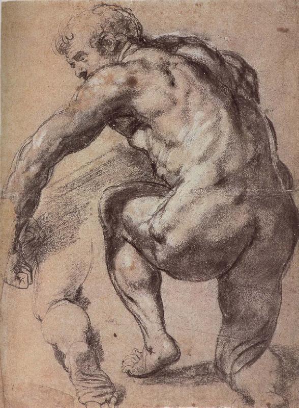 Peter Paul Rubens Portrait of Man